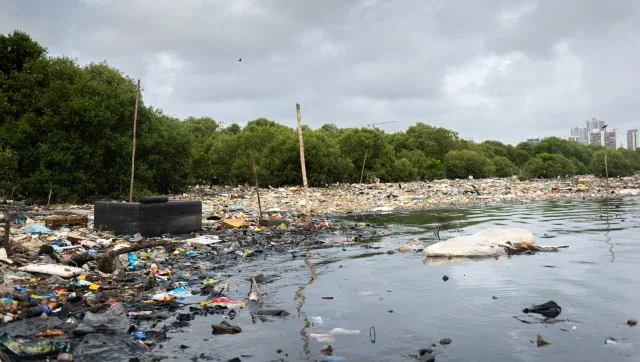 कचरे में डूबी प्लास्टिक प्रदूषण से निपटने के लिए स्थायी समाधान के लिए मुंबई का इंतजार लंबा नहीं हो सकता है